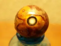 MARCH 12TH HUNT WITH SNIFFY 008 [].webp