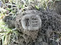 MARCH 13TH HUNT WITH GARY SHOE BUCKLE 001 [].webp