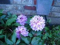 4-26-11 037.webp