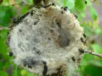 DSC05856(1).webp