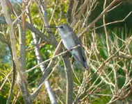 DSC05850(1).webp
