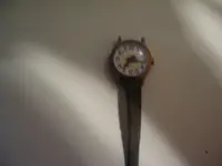 Not a rolex LOL 001.webp