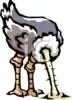 ostrich head in sand.jpb.webp