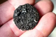 NH FINDS 04-08 001.webp