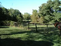 PICT0038.webp