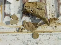 3-13-11 001.webp