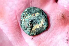 NH FINDS 04-08 003.webp