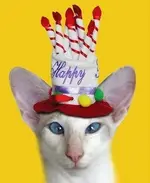 birthday_skeezix.webp