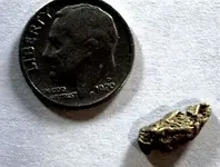 firstnugget1.3gram.webp