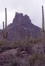 Miner\'s Needle.webp