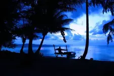 RimbaEvening.webp RimbaEvening.webp