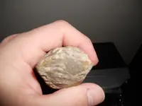 more heads 020.webp