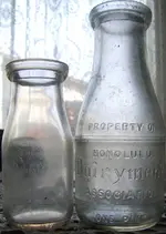 SV204455.webp