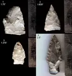 Arrowheads.webp