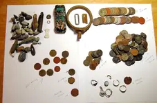 tree finds (1).webp