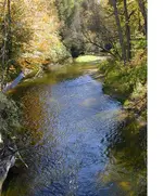 near the mouth.webp