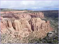 COLOMON11.webp