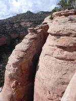 DSCN0556.webp