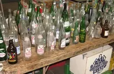 bottle show.webp