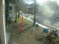 Picture.webp