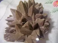 100_3998.webp