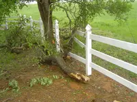 storm pic\'s 006.webp