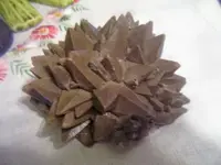 100_3999.webp