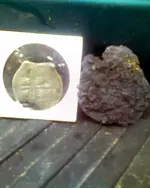 NH FINDS 04-07.1.webp
