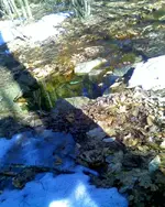 NH FINDS 04-07.2.webp