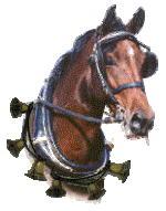 bellhorse.gif
