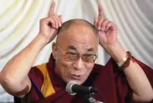 1004_lama_a.webp