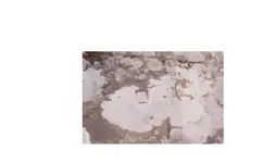 original.webp