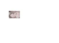 explain.webp