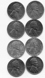 8 wheats.webp