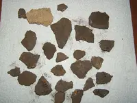 DSCF1427.webp