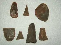 DSCF1429.webp