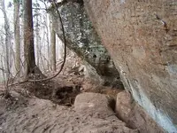 DSCF1554.webp