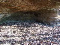 DSCF1386.webp