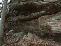 DSCF1388.webp