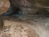 DSCF1391.webp