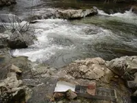 sluice in stream.webp