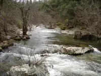up creek.webp