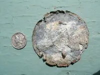 previous finds 2011 007.webp