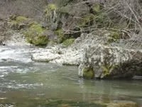 creek.webp