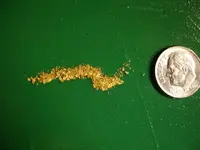 dime w worm.webp