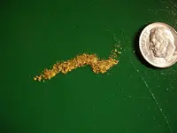 detail worm.webp