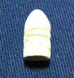 30cal_div.webp
