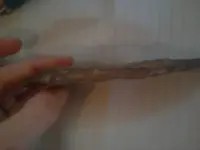 0313111258.webp