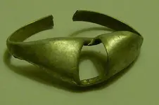 3302011ring.webp