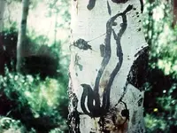 snakeontree.webp